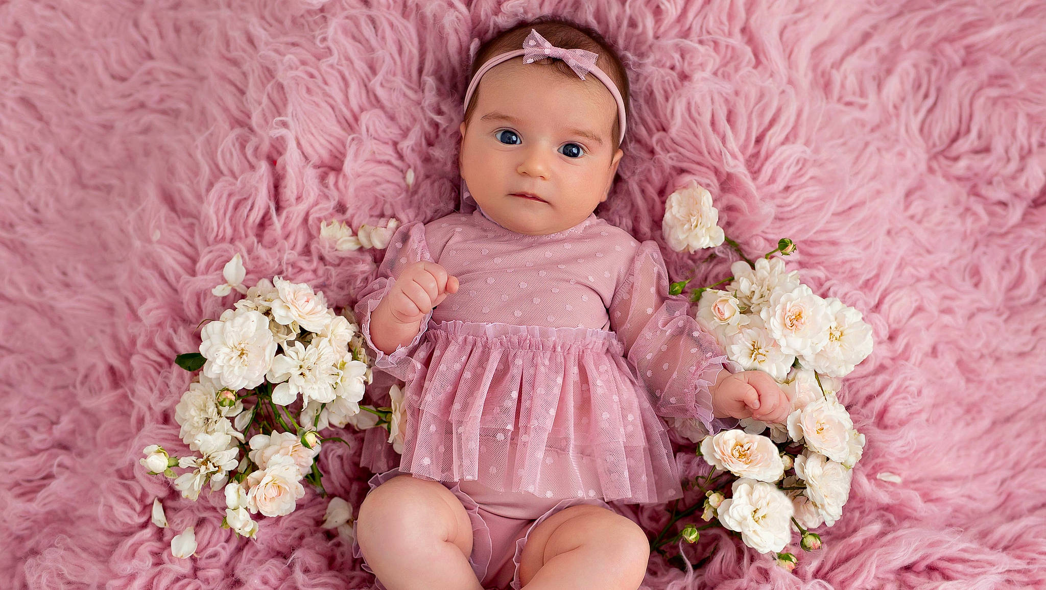 Winners · Little Miss Beauty