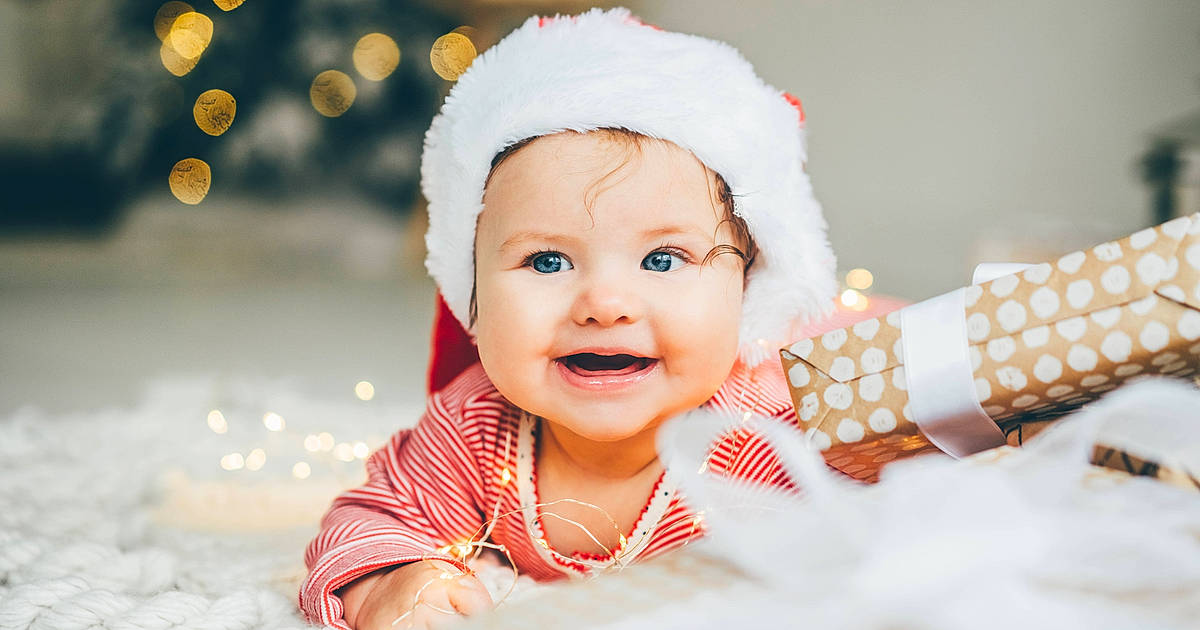 Cat christmas picture contest