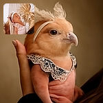 A tiny baby dressed in a delicate pink outfit with lace trim and a matching headband is cradled gently in an adult's hand, gazing upward with wide eyes. The soft, warm background featuring woven textures and dried plants adds a cozy, boho vibe to this tender moment.