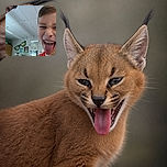 Two kids lean into the camera for a gloriously goofy close-up, with one flashing a mischievous tongue-out grin while the other peeks in like an unexpected comedy cameo. The classroom backdrop adds colorful educational chaos to the selfie.