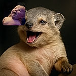 A joyful baby with a big open-mouth laugh, bathed in soft light against a dark background, held gently by a hand, radiating pure happiness and innocence.