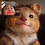 A close-up selfie of a young child with a messy face, possibly from eating something creamy or sticky, looking curiously at the camera with a slightly amused expression. The background shows a plain wall and part of a couch.