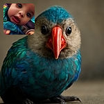 A close-up of a curious baby with big expressive eyes and an open mouth, wrapped in a swirl of vibrant blue and green fabric, as if reaching out to the camera with wonder.