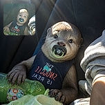 A cheerful baby sits buckled into a car seat with a pacifier, looking straight at the camera like a tiny road-trip supervisor. Sunbeams pour through the window, turning the ride into a dramatic golden spotlight while a blanket and colorful toy keep things cozy.