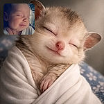 A peaceful sleeping baby wrapped in a soft white blanket, with a cozy patterned pillow in the background, capturing a tender moment of tranquility.