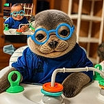 A cheerful baby is rocking bright blue round glasses like a tiny professor, happily surrounded by colorful activity-table toys while a football game plays in the background.