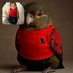 A wide-eyed baby dressed in a bright red sleeveless shirt and black pants lounges comfortably on a fluffy white cushion, looking curiously at the camera with soft lighting highlighting the smooth texture of their skin and the cozy surroundings.