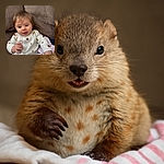 A chubby-cheeked baby with tousled hair is sitting comfortably on a brown couch, wearing a cozy white onesie decorated with tiny autumn-themed prints. The baby looks curious and happy, with a slightly open mouth and bright eyes, reaching out with one hand as if ready to explore the world.
