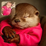 A peacefully sleeping baby dressed in a cozy pink outfit, snuggled up on a soft blanket with hands gently clasped, radiating pure tranquility and warmth.