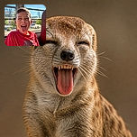 A gleeful child on a bus unleashes the ultimate tongue-out laugh, squinting into the sunshine like a tiny comedian whose punchline is simply “bleh!”