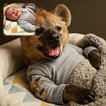 A happy baby wrapped in a cozy blanket, smiling with tiny teeth visible, lying comfortably on a patterned soft surface with a calm indoor background.