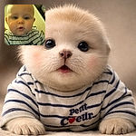 A close-up, slightly blurry photo of a baby wearing a striped shirt with the words 'petit coeur' on it, looking curiously at the camera with an open mouth expression, set against an indoor background.