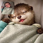 A peaceful sleeping baby wrapped snugly in a star-patterned blanket, with a tiny smile suggesting sweet dreams, nestled comfortably in a soft crib.