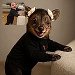A joyful baby girl with cute bows in her hair is standing and holding onto a beige couch, grinning widely as if she just discovered the secret to eternal happiness. The cozy living room background with soft couches and wooden flooring adds warmth to the candid moment.