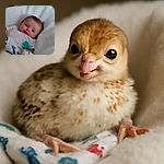A slightly blurry photo of a baby lying on a soft white blanket, wrapped in a colorful patterned cloth, looking curiously at the camera with wide eyes and a gentle expression.