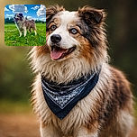 A fluffy, content dog stands proudly in a clover-speckled field like it owns the park — tongue lolling, eyes alert, and fur catching the sunlight while puffy clouds drift overhead and the treeline melts into a soft bokeh backdrop.