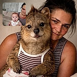 A surprised baby with wide eyes and an open mouth is being held securely by a woman in a striped tank top, sitting on a beige couch with a whiteboard and papers pinned on the wall behind them.