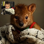 A wide-eyed baby bundled in a soft, patterned blanket sits securely in a car seat, eyes full of wonder as the warning label looms nearby like a serious guardian.