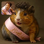 A cheerful toddler with curly hair beams up at the camera wearing a colorful rainbow dress and a pink birthday sash, sitting on a brown textured carpet, radiating pure joy and birthday vibes.