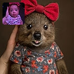A wide-eyed baby with a big red bow headband and a floral onesie is being held gently, sticking their tongue out as if tasting the world for the first time. The dim lighting adds a cozy, intimate vibe to the moment.