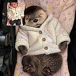 A peacefully sleeping newborn is bundled up like a tiny marshmallow astronaut in a pastel butterfly stroller, complete with fuzzy coat, button eyes, and miniature sock-covered feet.