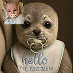 A close-up photo of a wide-eyed baby with a pacifier in their mouth, wearing a bib that says 'hello I'm the new'. The baby is being held by someone in a cozy beige hoodie, creating a warm and intimate atmosphere.