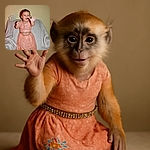 A joyful toddler wearing a sparkling peach dress stands barefoot on a plush white chair, reaching out with a big smile and tiny fingers spread wide as if waving to an invisible friend.