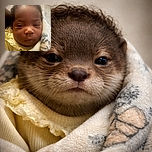 A close-up photo of a calm baby wrapped in a cozy blanket with a soft yellow outfit, eyes half-open as if just waking up from a nap.