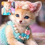 A charming young child wearing a blue dress and a pink floral crown, adorned with pastel bead necklaces, looks playfully at the camera with a slight smile. The background is softly blurred, emphasizing the child's bright blue eyes and delicate features. The photo has a watermark text overlay from the photographer.