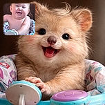 A chubby-cheeked baby with a joyful grin is captured mid-play in a colorful baby walker, with a wooden background and app interface elements framing the scene like an accidental digital scrapbook.