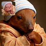 A close-up photo of a newborn baby wearing a pastel striped hat and a peach-colored outfit, sucking on their tiny hand with wide curious eyes, wrapped in soft fabrics that evoke warmth and coziness.