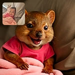 A joyful baby wrapped in a soft pink blanket, lying comfortably on a gray pillow, flashing a wide smile that could brighten anyone's day. The cozy setting and warm lighting add to the heartwarming vibe.