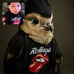 A cute baby with sparkling eyes and a big black headwrap poses adorably on a couch, wearing a Rolling Stones shirt that adds a rockstar vibe to the innocent charm.