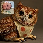 A close-up photo of a baby lying on a patterned blanket with cute animal prints, wrapped partially in a beige cloth, gazing curiously at the camera with big, expressive eyes.