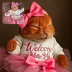 A peacefully sleeping baby girl dressed in an adorable pink tutu and matching bow headband, resting on a fluffy textured blanket. The baby's onesie reads 'Welcome Baby Girl' in elegant script, making this a heartwarming and tender moment captured in soft, natural lighting.