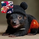 A cheerful baby lies on a colorful blanket, dressed adorably in a red knitted outfit with yellow buttons and a black hat with bear ears, smiling wide as if ready for a playful adventure in a cozy room with bright curtains.