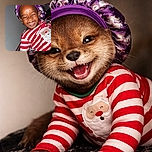 A joyful child wearing a festive red and white striped shirt with a Santa face patch, and a purple bonnet, laughing heartily with eyes closed, captured indoors with a cozy blanket in the background.