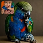 A close-up photo of a happy baby with bright eyes and a finger in their mouth, wearing a blue shirt with a Superman logo and dinosaur-printed pants, being held gently by an adult's hand adorned with rings.