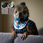 A curious toddler peeks over the back of a plush gray couch with wide, innocent eyes and a tiny topknot, set against a modern living room with a TV and stylish decor. The little one grips the couch like it's the front row at a concert of life.