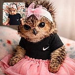 A serious-faced baby wearing a big white bow headband and a black Nike onesie paired with a pink tutu, lying on a colorful floral blanket, looking like she means business in the cutest way possible.