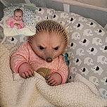 A wide-eyed baby sits tucked into a cozy blanket fortress, looking intensely serious while a pacifier hangs nearby like a tiny emergency microphone. Elephant-patterned bedding completes the adorable nursery scene.