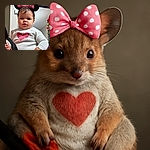 A chubby-cheeked toddler wearing a cozy white sweater with a big pink heart and playful Minnie Mouse ears looks curiously at the camera, with a festive Christmas tree glowing softly in the background.