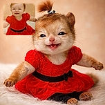 A joyful baby girl with a tiny ponytail is gleefully scrunching her face in an adorable smile, dressed in a bright red dress with a black belt, sitting on a fluffy white surface against a softly patterned beige background.