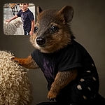 A cheerful young boy is happily petting a fluffy sheep in an outdoor petting zoo, surrounded by a variety of friendly farm animals like ducks, geese, and a goat, with a wooden fence and greenery in the background.