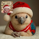 A chubby-cheeked baby wearing a fluffy Santa hat lies on a soft white surface, smiling mischievously with twinkling eyes, while a beautifully blurred Christmas tree sparkles warmly in the background.