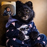 A young child lounges comfortably on a cushy chair, wearing a cozy cartoon-themed outfit. The child's expression is contemplative, as if pondering the mysteries of the universe, while the warm indoor lighting and framed artwork in the background add a homely touch.