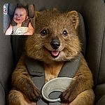 A joyful baby with sparkling eyes and a wide smile is comfortably secured in a car seat, radiating pure happiness and innocence with a cozy blanket and pacifier nearby.