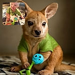 An adorable baby sitting on a patterned blanket, smiling gently with bright eyes and wearing a green shirt. The baby holds a soft toy and a colorful rattle while a '10 months' milestone card is placed in front, capturing a sweet moment of early childhood.