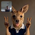 A playful child indoors making peace signs with both hands and sticking out their tongue, framed by bright windows and a plain ceiling light, with a casual and candid vibe.
