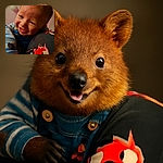 A close-up, joyful baby reaching out towards the camera with a big smile, wearing striped sleeves and denim overalls, with a colorful floral pattern visible on a nearby fabric.